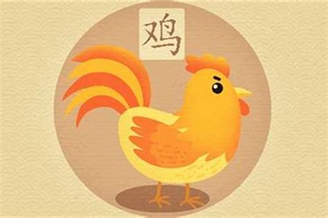 鸡年出生年份|属鸡是哪年出生的 